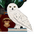 Harry Potter™ Hedwig™ Plushpop Card & Flower Buds Bouquet Bundle
