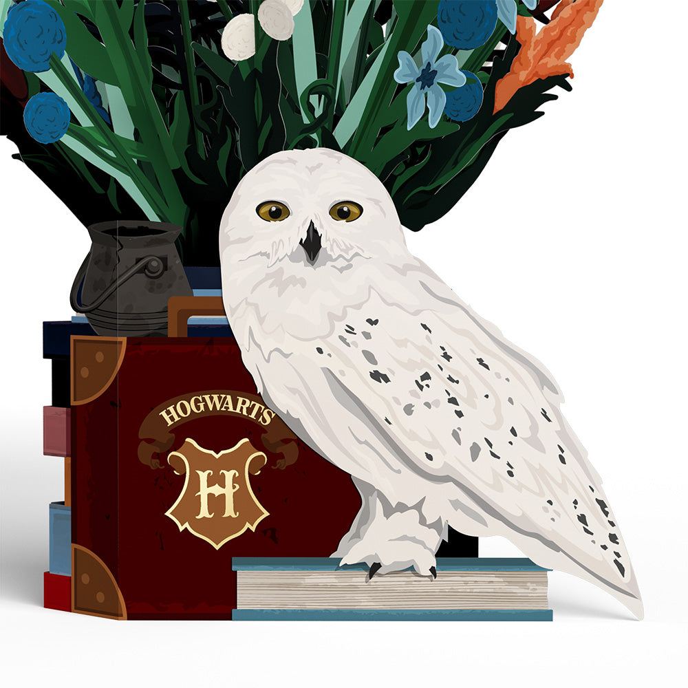 Harry Potter™ Hedwig™ Birthday Pop-Up Card & Flower Buds Bouquet Bundle