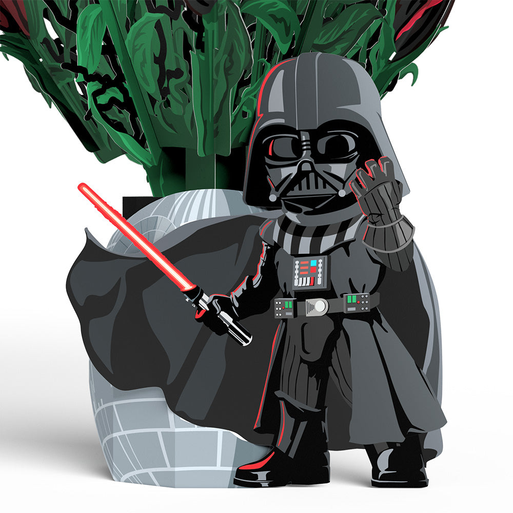 Star Wars™ Darth Vader™ Be Mine Pop-Up Card & Flower Buds Bouquet Bundle