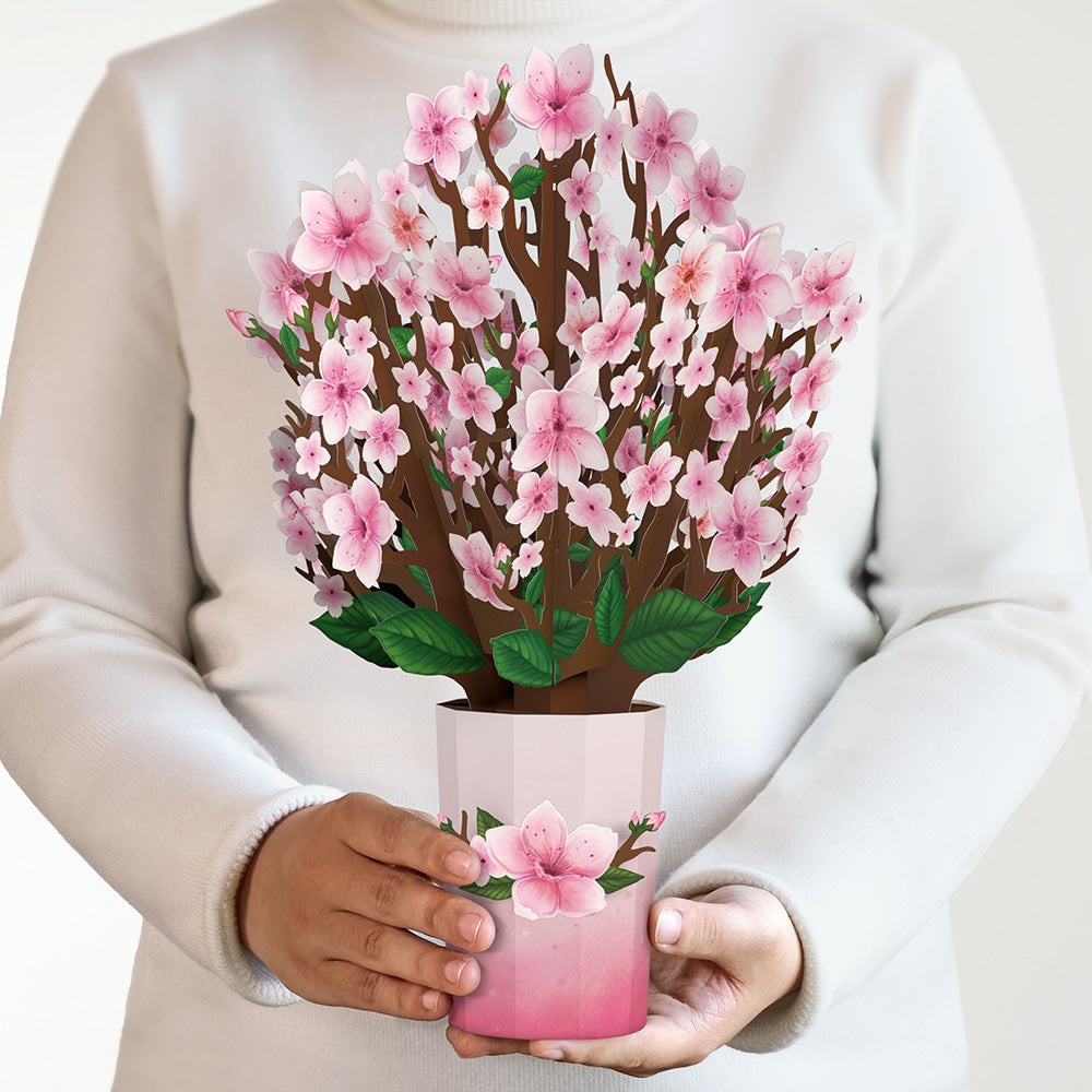 Cherry Blossom Bouquet