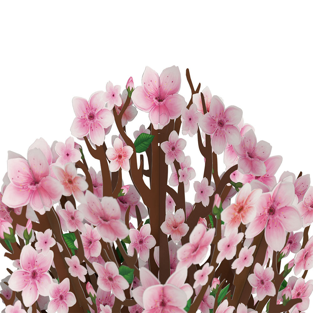 Cherry Blossom Birthday Bouquet and Sentiment Set