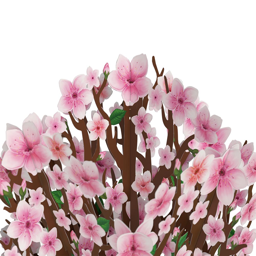 Cherry Blossom 50th Birthday Bouquet and Sentiment Set