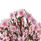 Cherry Blossom Birthday Bouquet and Capricorn Zodiac Sentiment Set