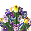Birthday in Bloom Pop-Up Card & Bouquet Bundle