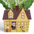 Disney and Pixar Up House Flower Buds Bouquet