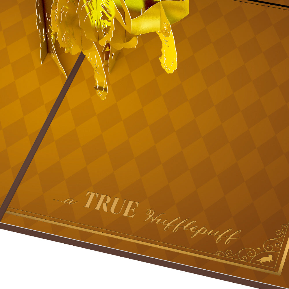 Harry Potter™ Hufflepuff™ House Pride Pop-Up Card