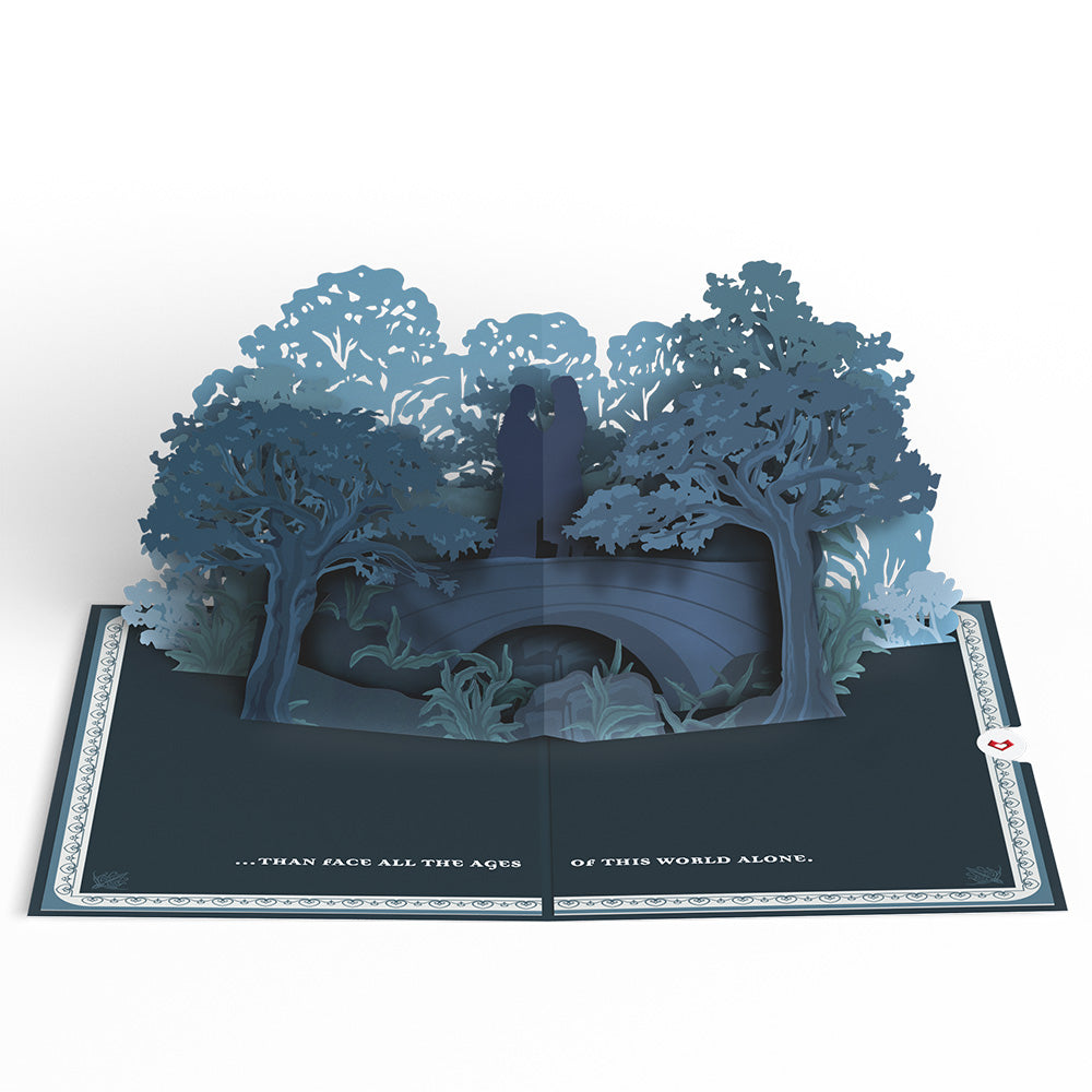 The Lord of the Rings Aragorn™ & Arwen™ Pop-Up Card