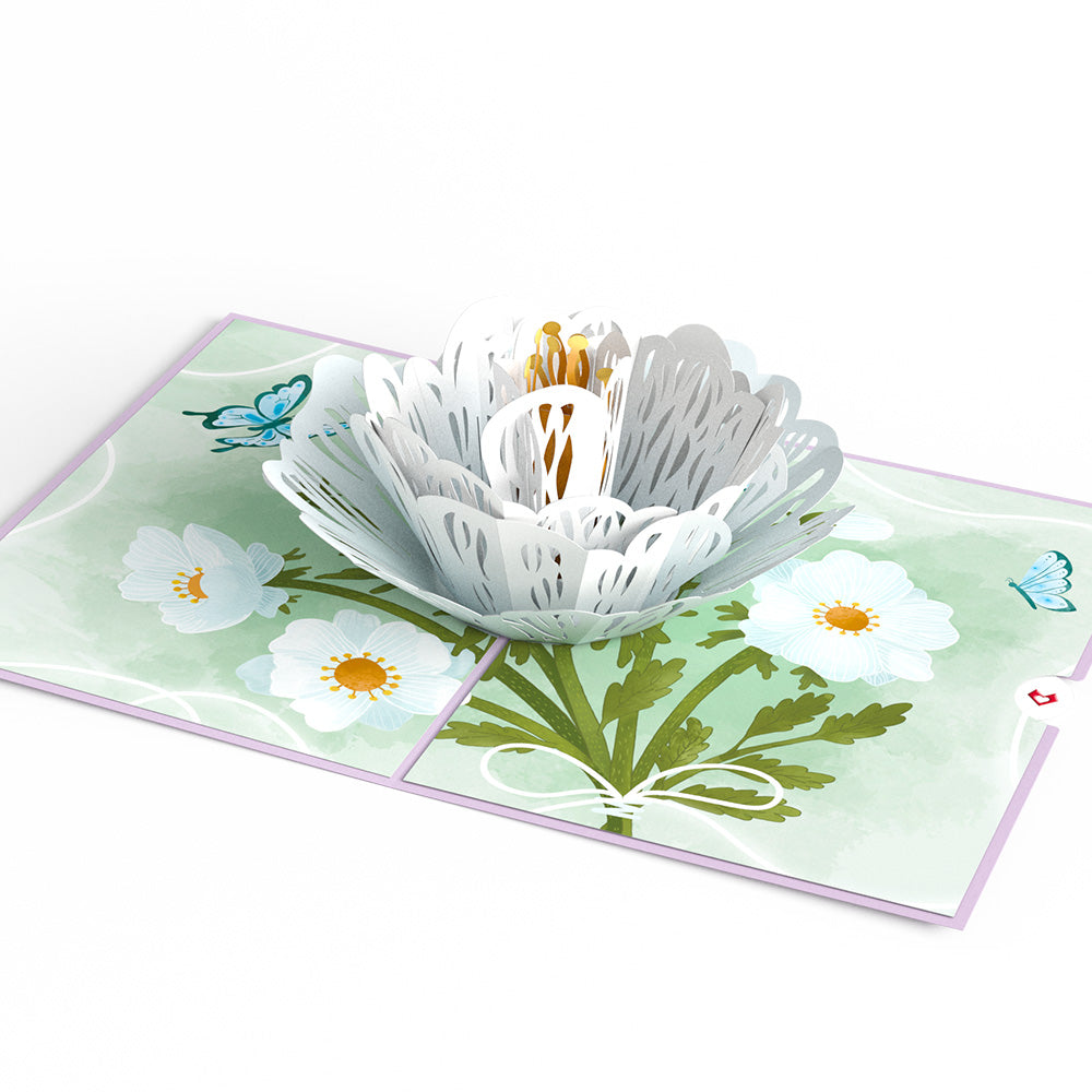 Frilly White Poppy Pop-Up Card