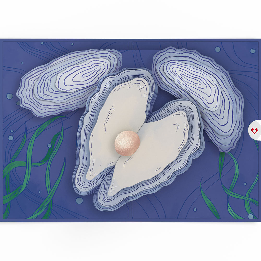 Coastal Oysters Pop-Up Card