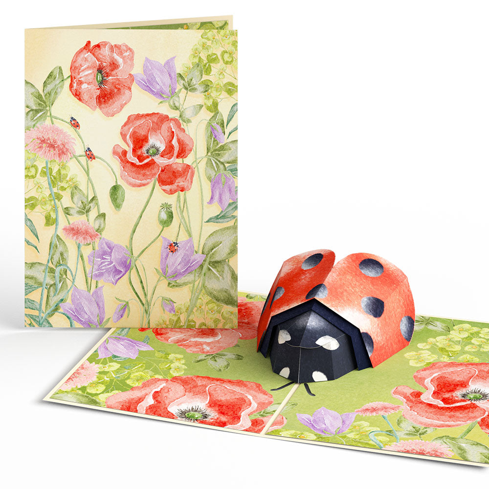 Lovely Ladybug Pop-Up Card