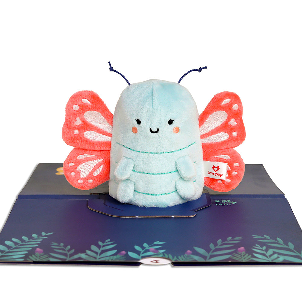 'Hi!' Butterfly Plushpop Card