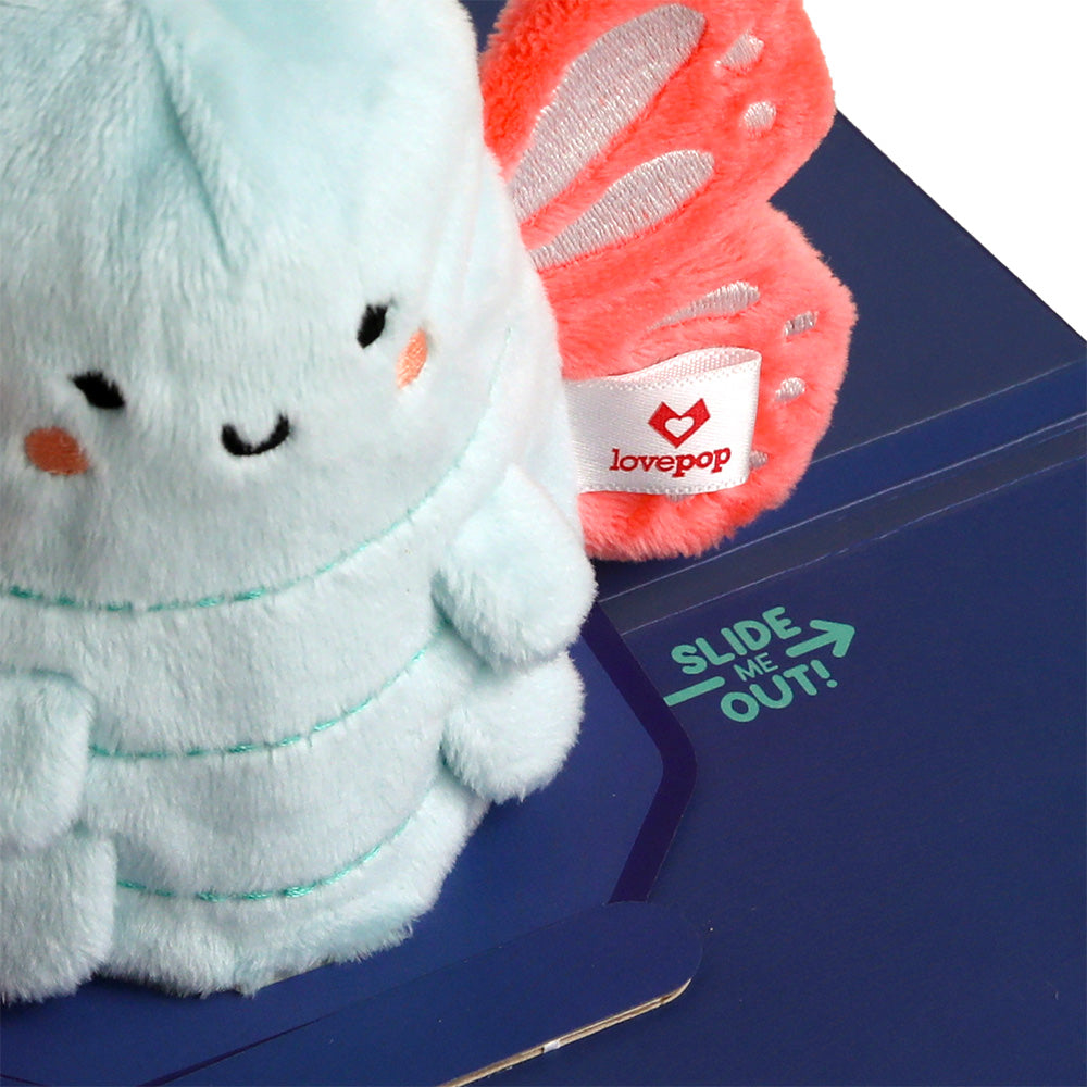'Hi!' Butterfly Plushpop Card