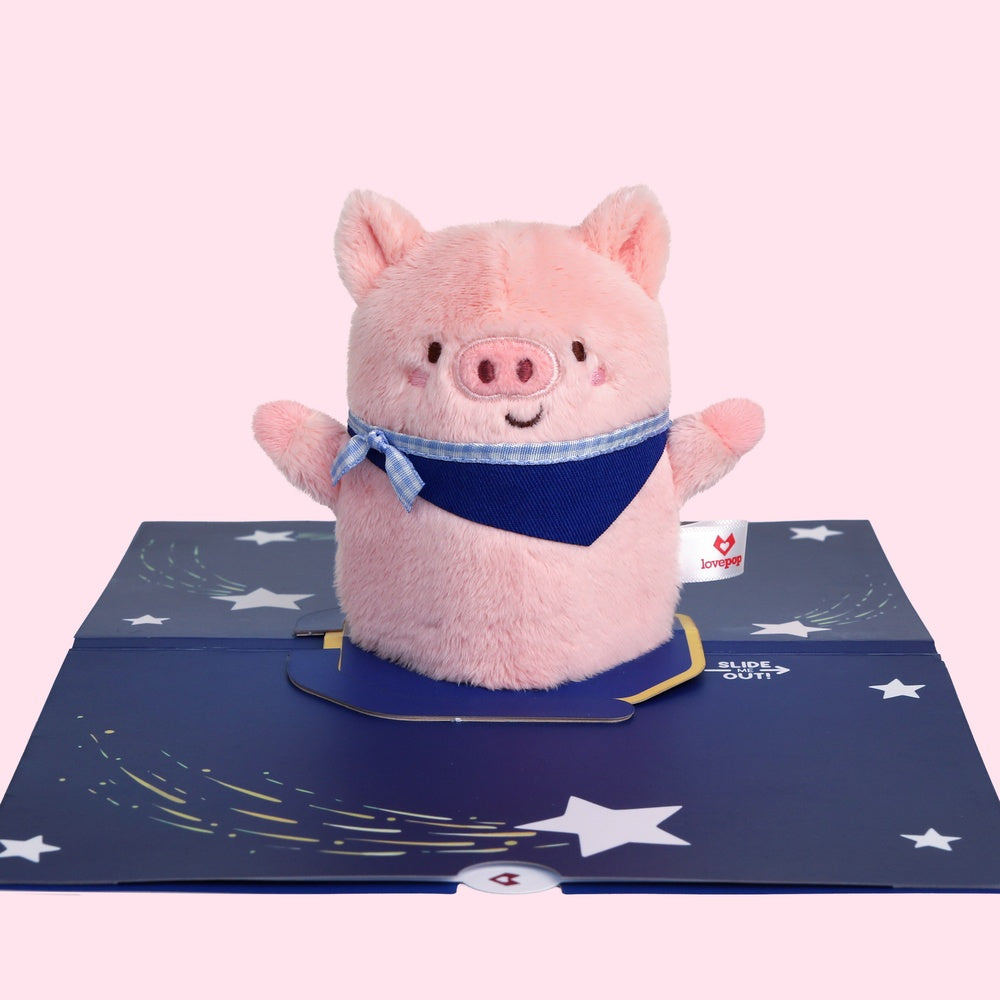 'Just Pig-Cause' Plushpop Card