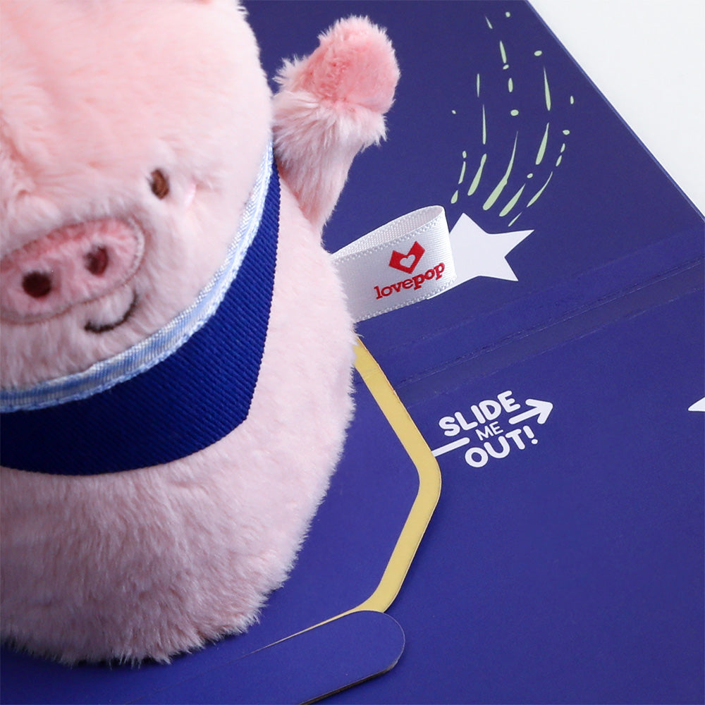 'Just Pig-Cause' Plushpop Card