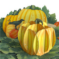 Happy Fall Pumpkin Patch Pop-Up Card