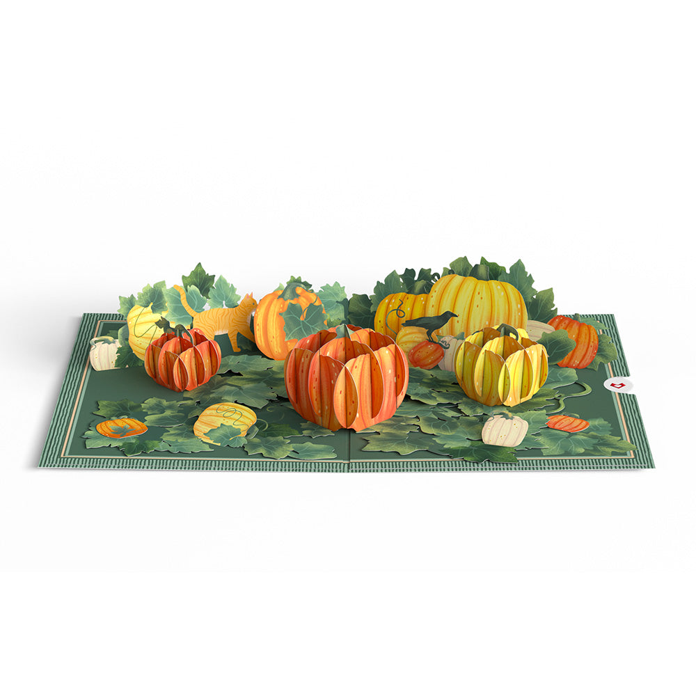 Happy Fall Pumpkin Patch Pop-Up Card