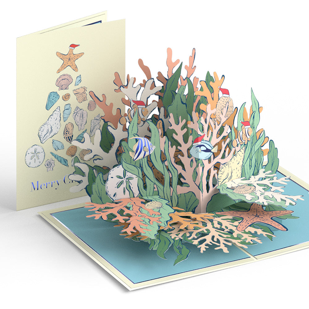 Coastal Christmas 3-Pack