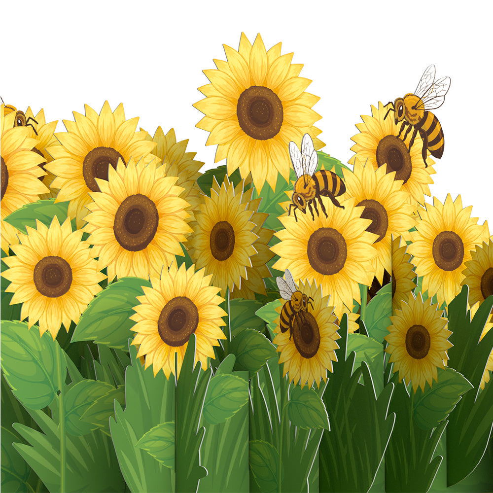 Sunflower Field Pop-Up Card