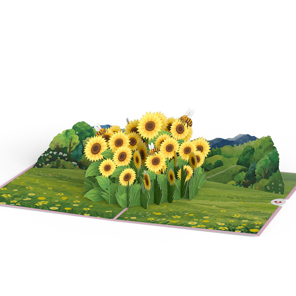 Sunflower Field Pop-Up Card