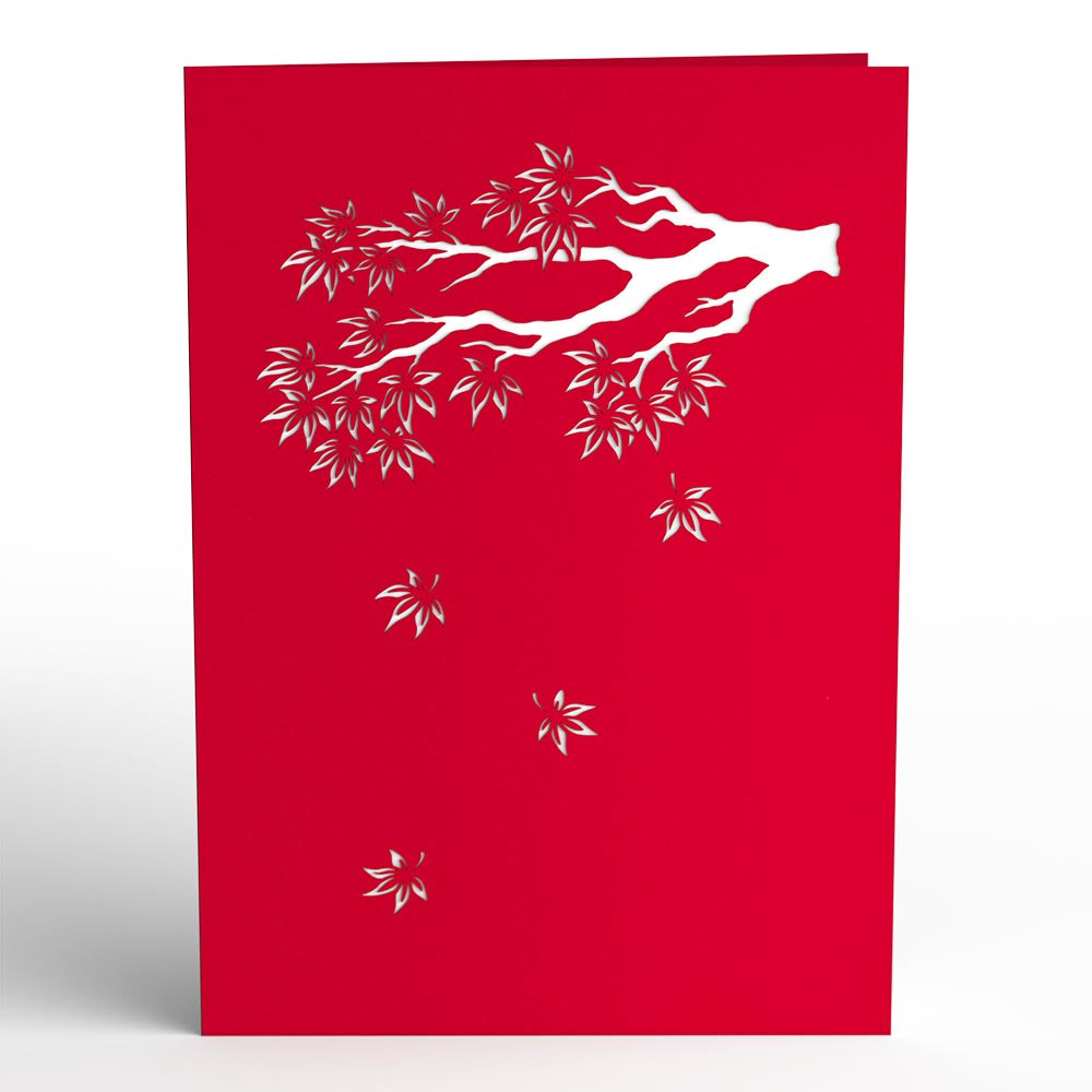 Japanese Maple Pop-Up Card