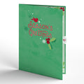 Holiday Cardinal Slicegami Ornament Card™