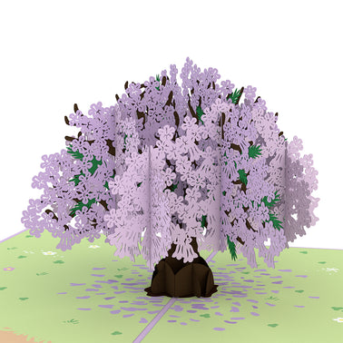 Mother’s Day Garden 5-Pack