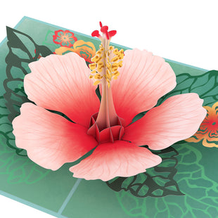 Hibiscus Bloom Pop-Up Card