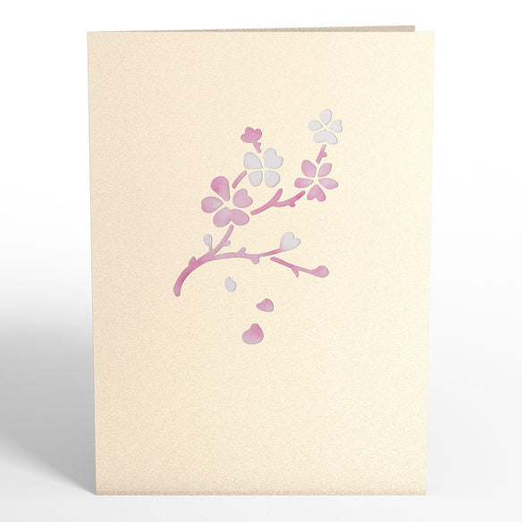 Cherry Blossom Pop-Up Card