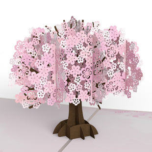 Cherry Blossom Pop-Up Card