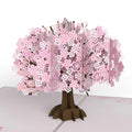 Cherry Blossom Birthday Pop-Up Card and Aquarius Zodiac Sentiment Set