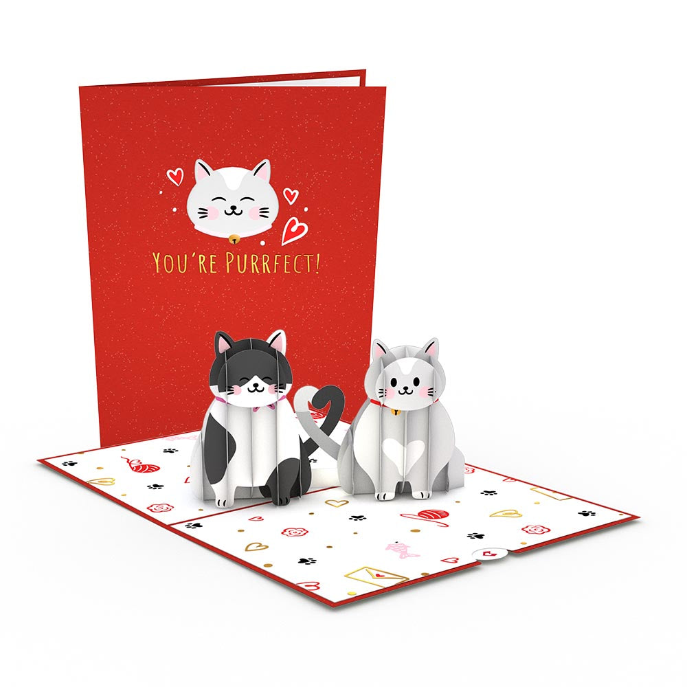 Dynamic Duos Love 3-Pack