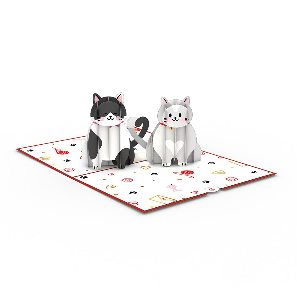 Dynamic Duos Love 3-Pack