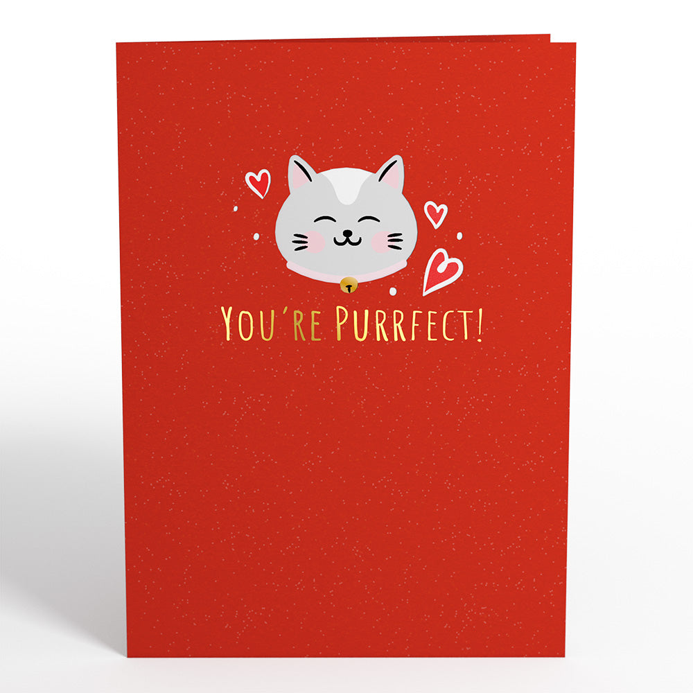 Love Cats Pop-Up Card