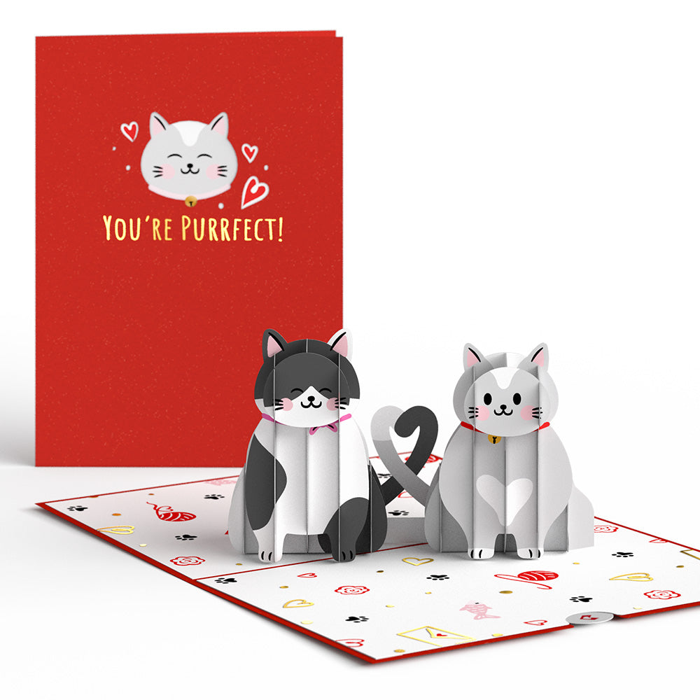 Valentine’s Day Cats 3-Pack