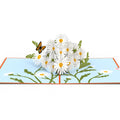 Daisies with Monarch Butterfly Pop-Up Card