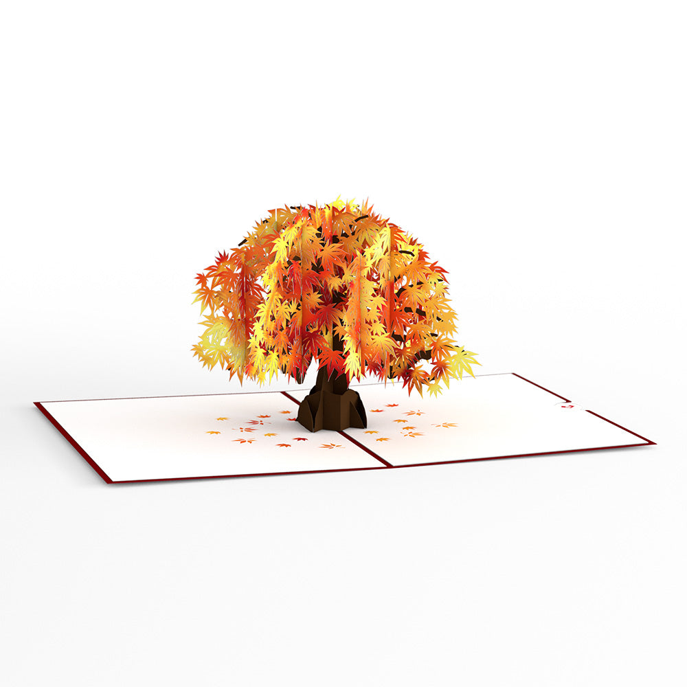 Sugar Maple Tree Pop-Up Card