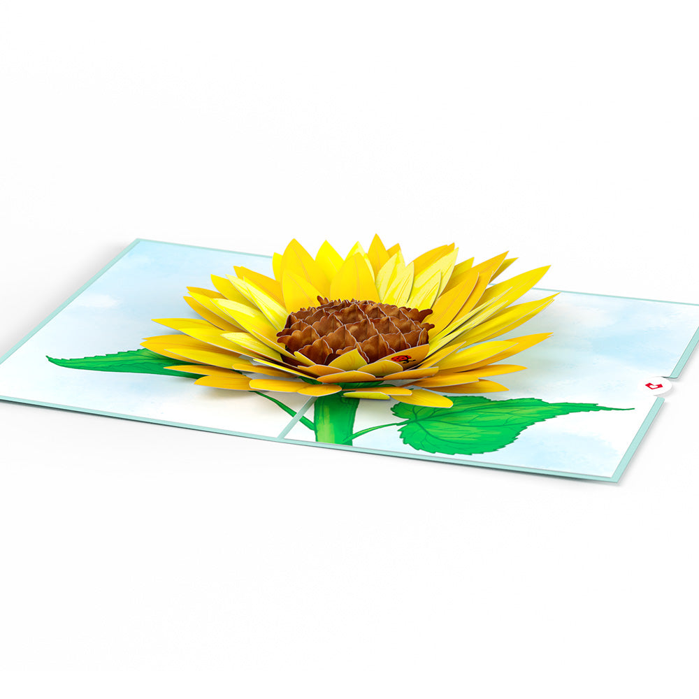 Sunflower Bloom Pop-Up Card
