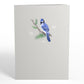 Winter Blue Jay Pop-Up Card