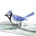 Winter Blue Jay Pop-Up Card