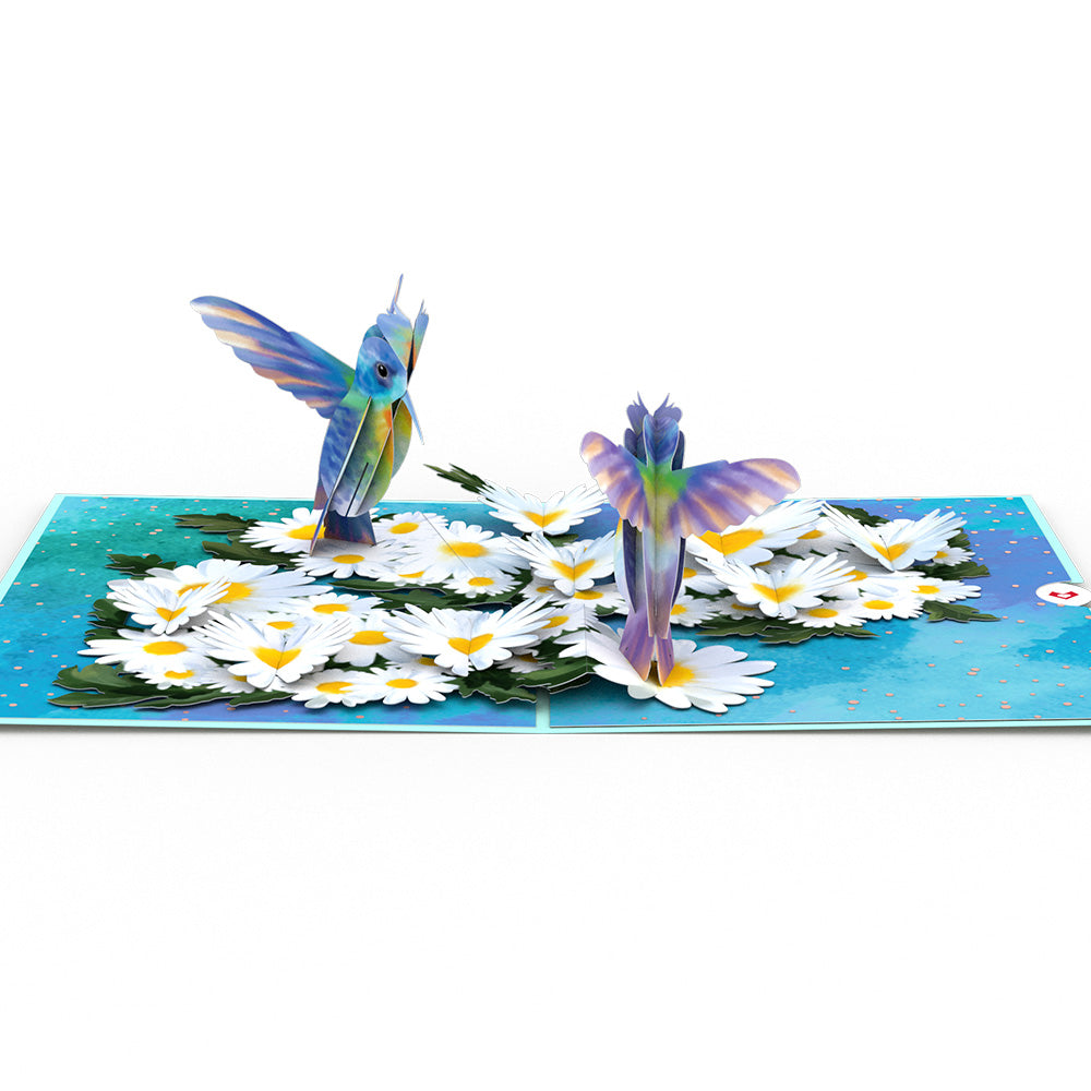 Daisy Patch Hummingbirds Pop-Up Card