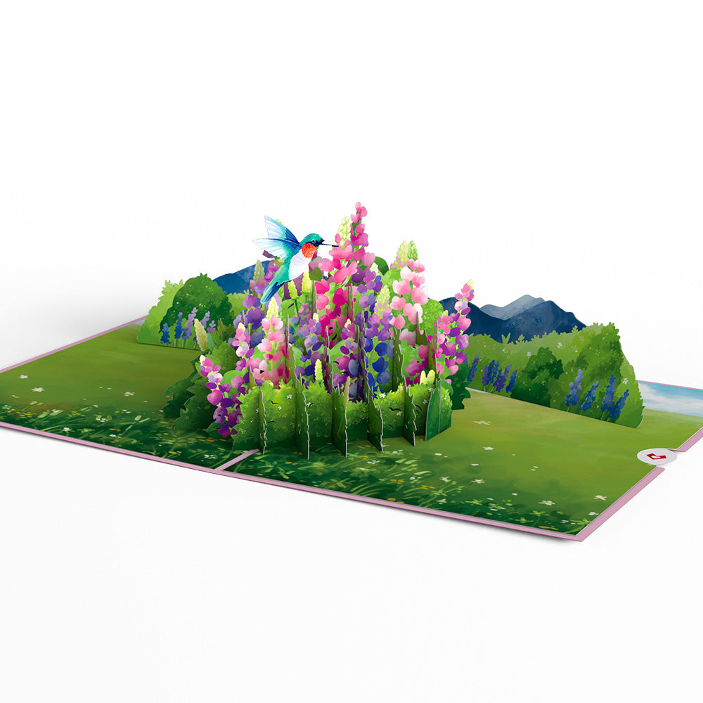 Lupine Hummingbird Pop-Up Card