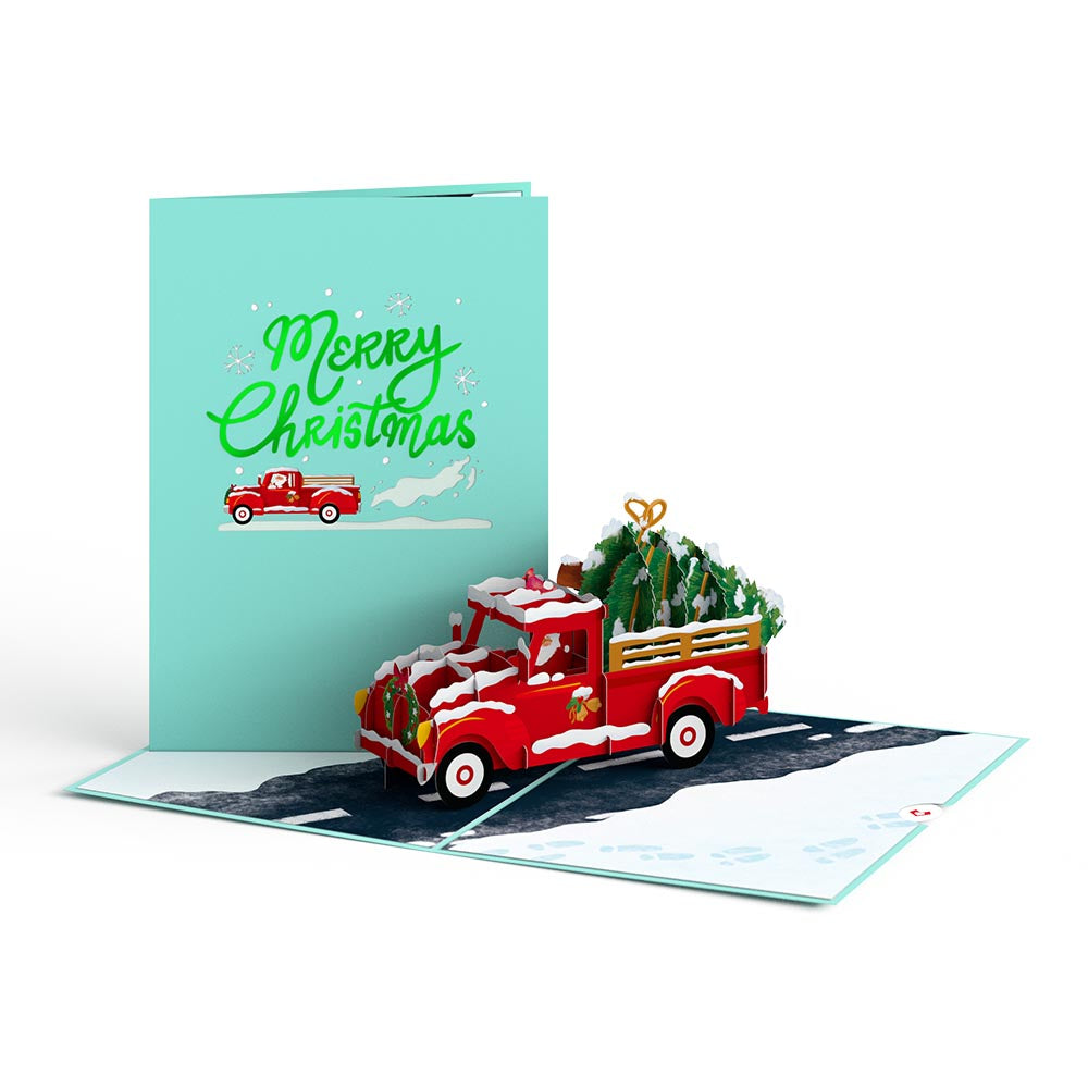 Festive Holiday 5-Pack