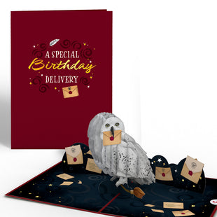 Harry Potter™ Hedwig™ Birthday Delivery Pop-Up Card greeting card -  Lovepop