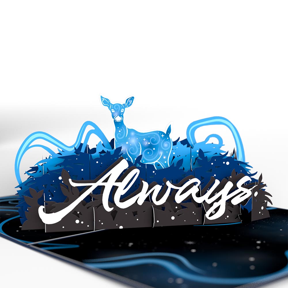 Harry Potter™ Always  Pop-Up Card & Flower Buds Bouquet Bundle