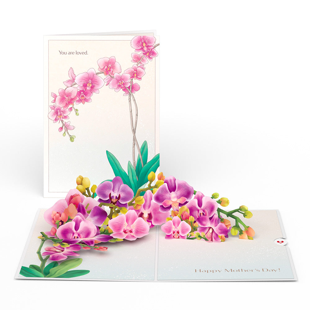 Mother's Day Orchid Pop-Up Card & Bouquet Bundle