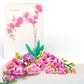 Mother's Day Orchid Pop-Up Card & Bouquet Bundle