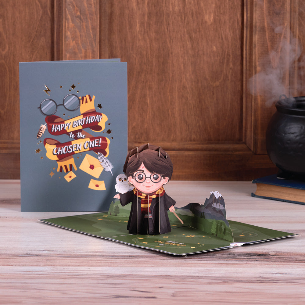 Harry Potter™ The Chosen One Birthday Pop-Up Card