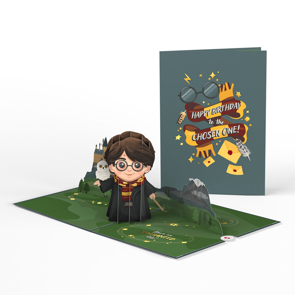 Harry Potter™ The Chosen One Birthday Pop-Up Card – Lovepop