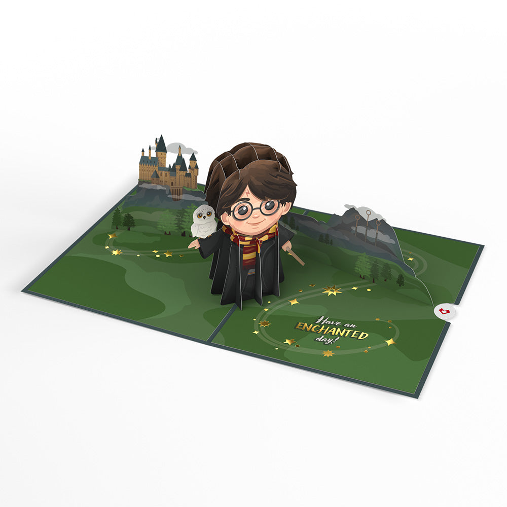 Harry Potter™ The Chosen One Birthday Pop-Up Card