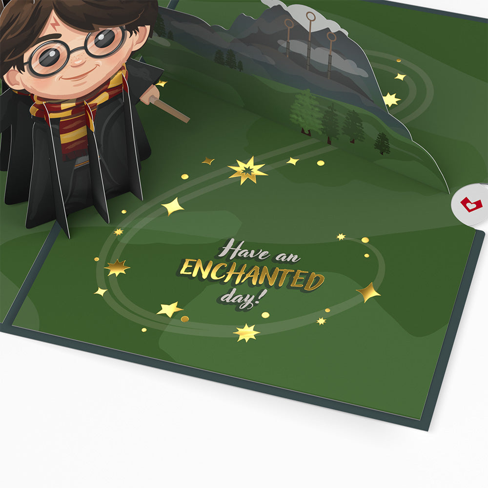 Harry Potter™ The Chosen One Birthday Pop-Up Card